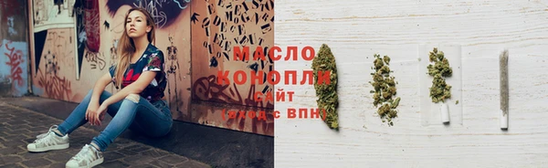 индика Инта