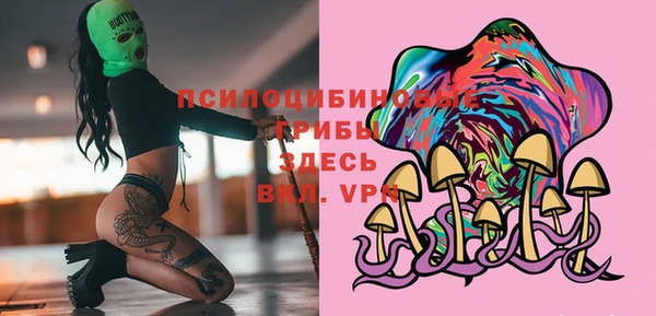 мет Инсар