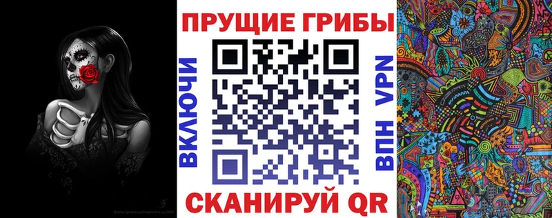 Галлюциногенные грибы Psilocybe  Малмыж 